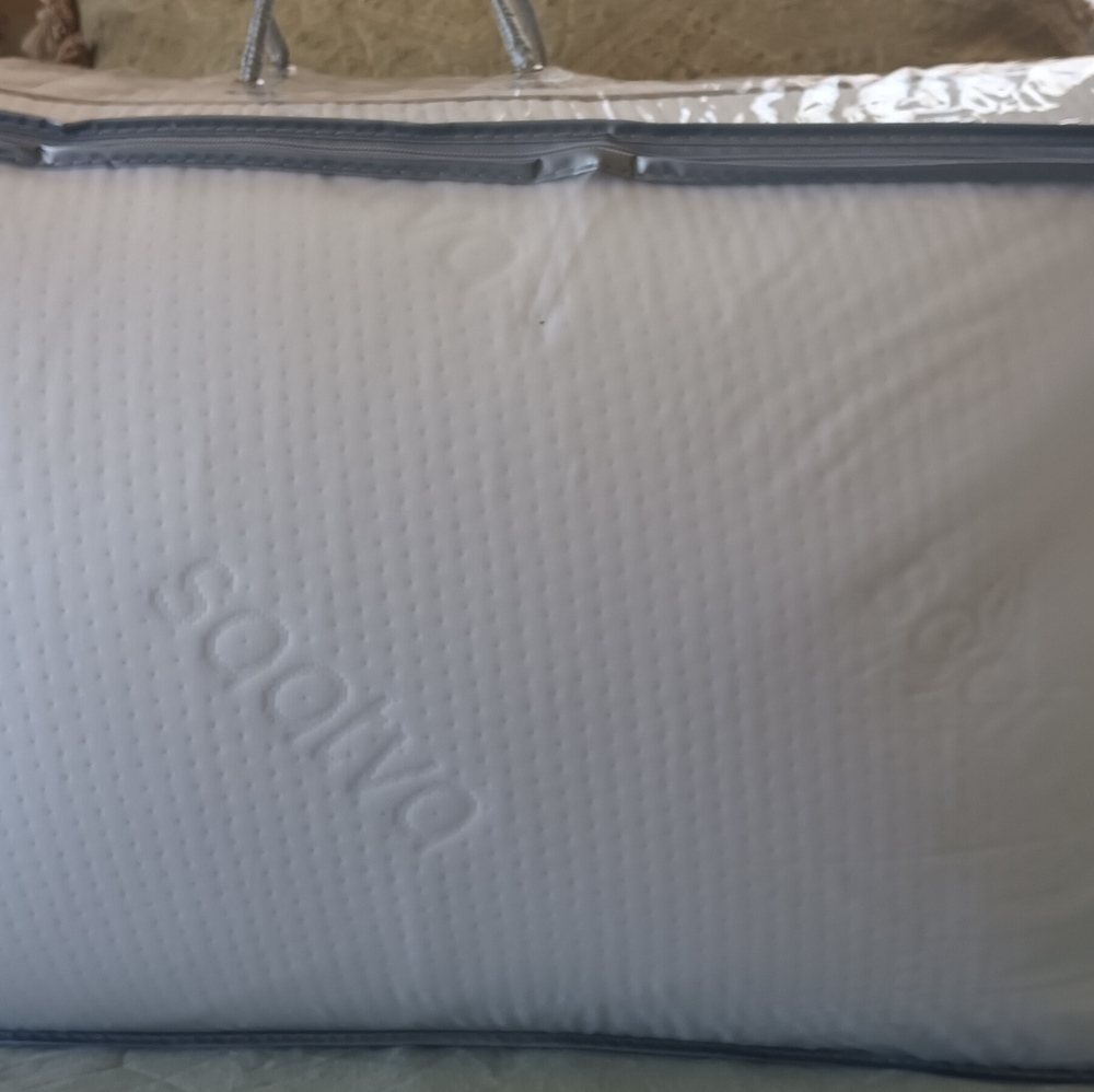 Set of 2 New Saatva Pillow